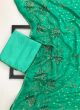 Green Indian Traditional Gorgeous Designer Brasso Saree