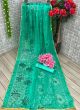 Indian Traditional Gorgeous Designer Green Brasso Saree